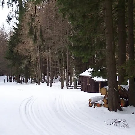 Wilke Appartamento Willingen (Upland)
