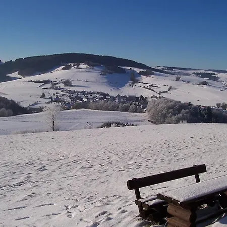 Wilke ヴィリンゲン