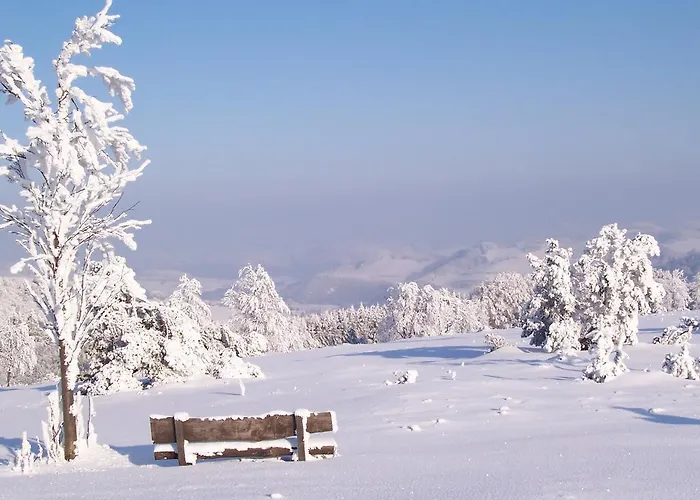 Apartman Wilke Willingen