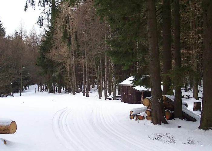 Wilke Apartman Willingen